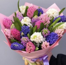 Гиацинтовый микс